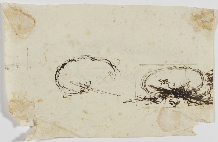 Auflichtaufnahme Entwurf einer Kartusche mit Feder und Eisengallustinte gezeichnet