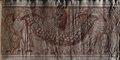 Streiflicht-Aufnahme Rötelzeichnung eines Reliefs mit bärtiger Maske und von zwei Adlern geschulterter Fruchtgirlande aus der Gartenfassade des Palazzo Barberini