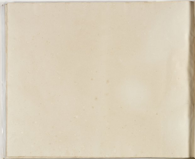 Auflichtaufnahme Rückseite dreiundneunzigstes Blatt Klebeband 2