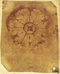 Durchlicht-Aufnahme Rötelzeichnung einer Rosette mit Profilriss unten, vermutlich vom Tempel der Sibylle in Tivoli