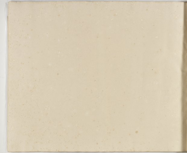 Auflichtaufnahme Rückseite achtundachtzigstes Blatt Klebeband 1