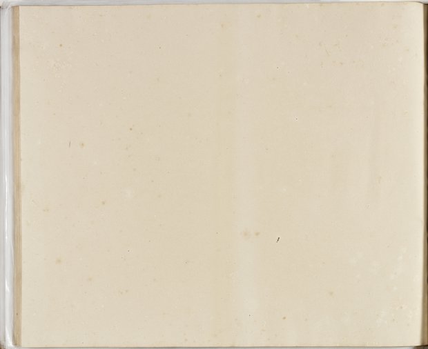 Auflichtaufnahme Rückseite siebenundsechzigstes Blatt Klebeband 2