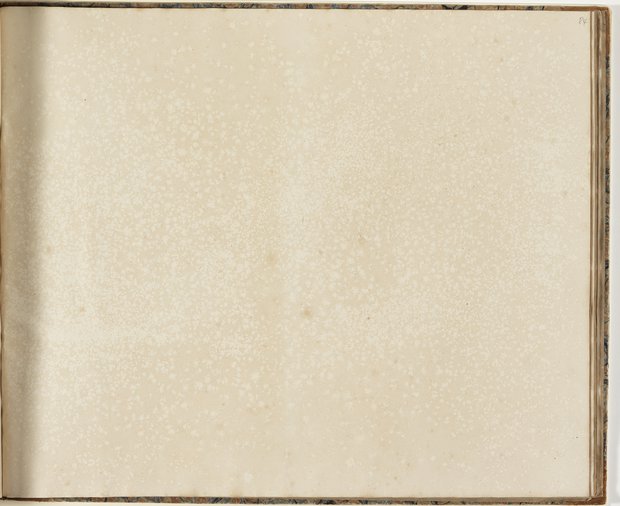 Auflichtaufnahme Vierundachtzigstes Blatt leer Klebeband 2