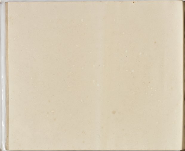 Auflichtaufnahme Rückseite einundsechzigstes Blatt Klebeband 2