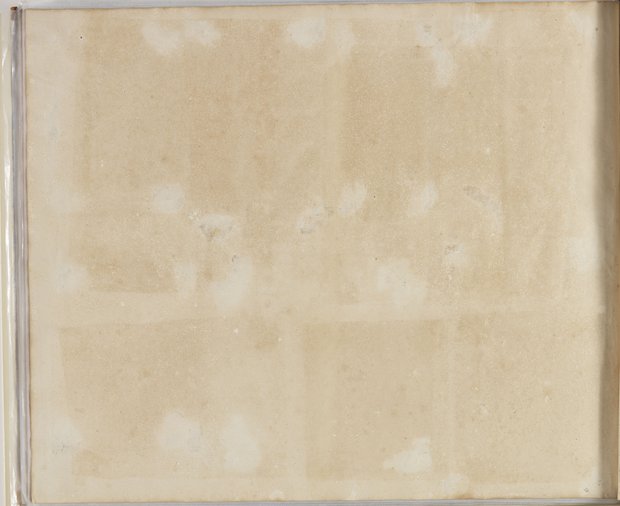 Auflichtaufnahme Rückseite vierzehntes Blatt Klebeband 2