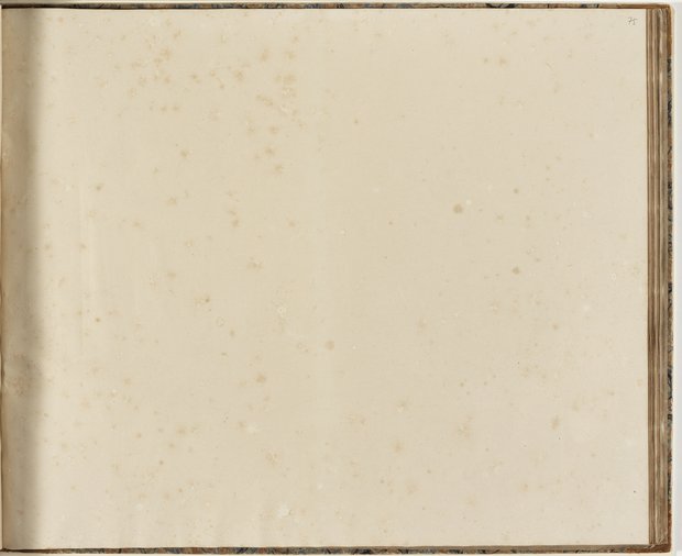 Auflichtaufnahme Fünfundsiebzigstes Blatt leer Klebeband 2