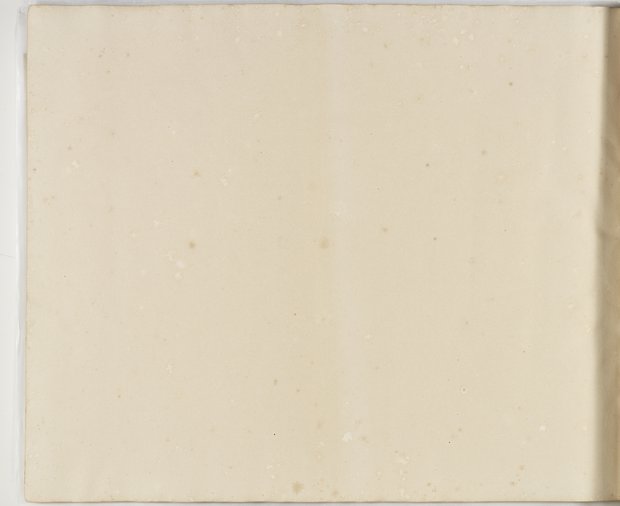 Visible reflectance photograph Verso of the eighty-sixth sheet, Album 1