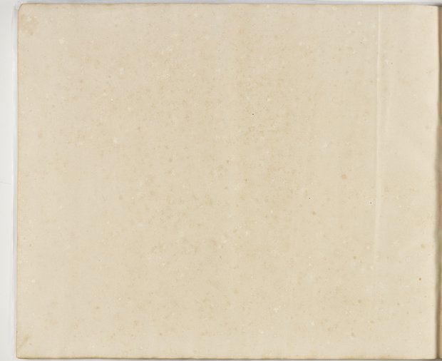 Auflichtaufnahme Rückseite dreiundneunzigstes Blatt Klebeband 1