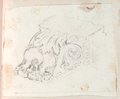 Infrared false-colour photograph Perspective drawing of a reclining corbel with seahorse motif, drawn in black chalk