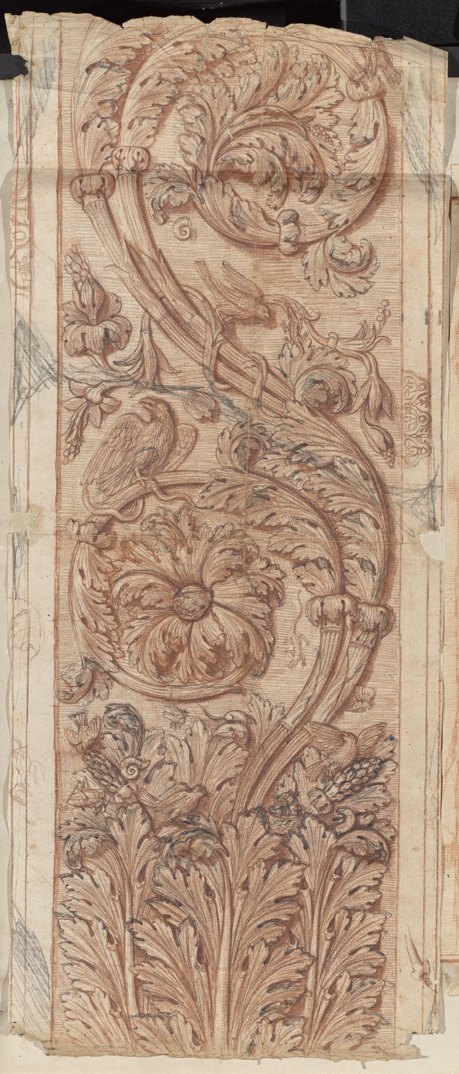 Auflichtaufnahme Senkrecht aufsteigendes Wellenrankenrelief in der Villa Medici (Medici-Ranke) mit Rötel gezeichnet
