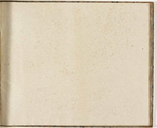 Auflichtaufnahme Fünfundachtzigstes Blatt leer Klebeband 2