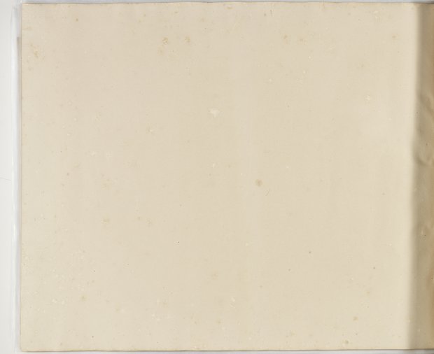 Visible reflectance photograph Verso of the seventy-sixth sheet, Album 1