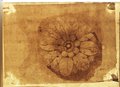 Durchlicht-Aufnahme Rötelzeichnung einer Rosette in Aufsicht vom Palazzo Massimo alle Colonne