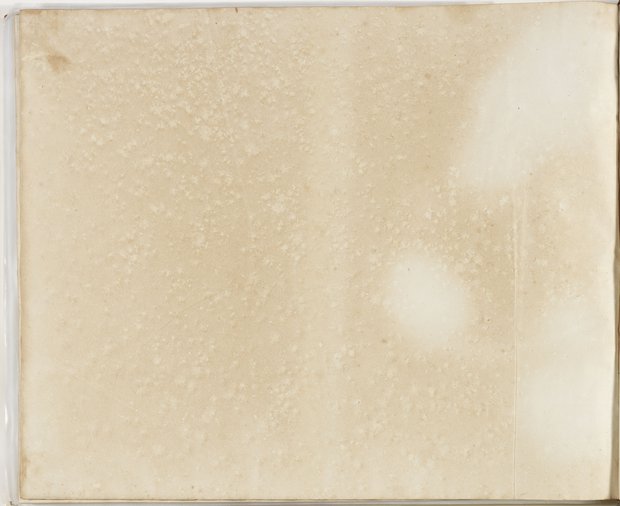 Auflichtaufnahme Rückseite sechsundneunzigstes Blatt Klebeband 2