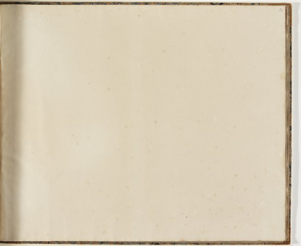 Auflichtaufnahme Einundneunzigstes Blatt leer Klebeband 2