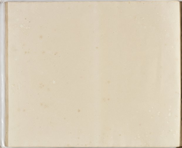 Auflichtaufnahme Rückseite achtundsechzigstes Blatt Klebeband 2