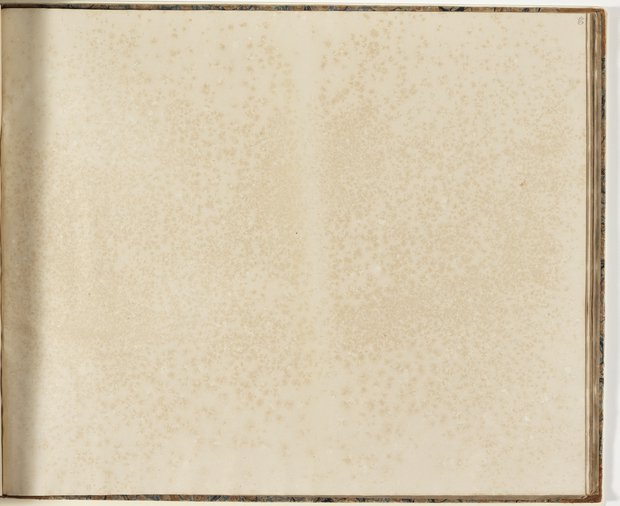 Auflichtaufnahme Sechsundachtzigstes Blatt leer Klebeband 2