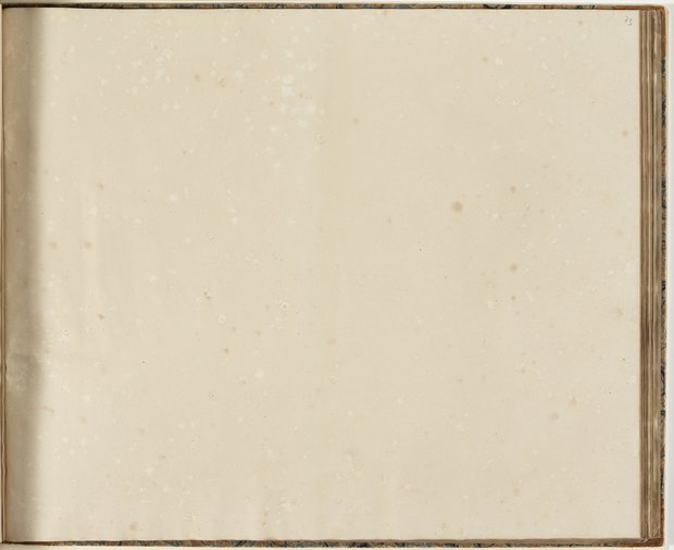 Auflichtaufnahme Dreiundsiebzigstes Blatt leer Klebeband 2